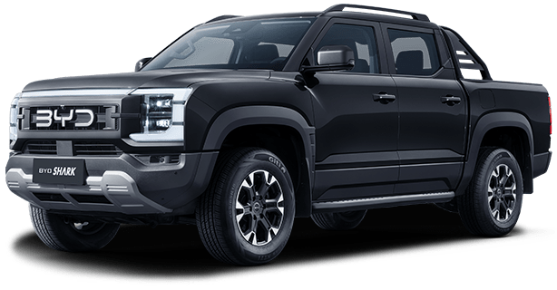 ag亚洲集团 SHARK